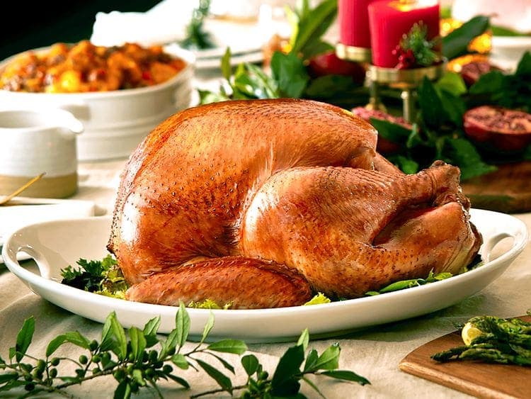 Audrey's Thanksgiving Turkey